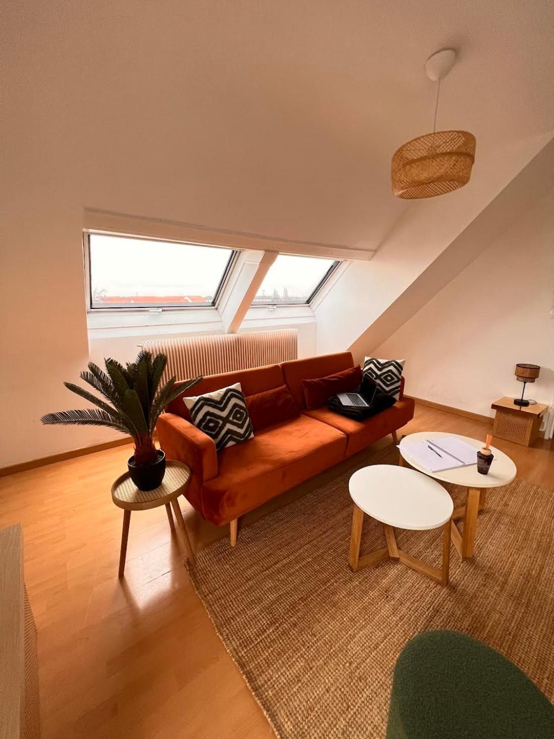 Balneo, Lumineux, Confort Colmar Exteriér fotografie