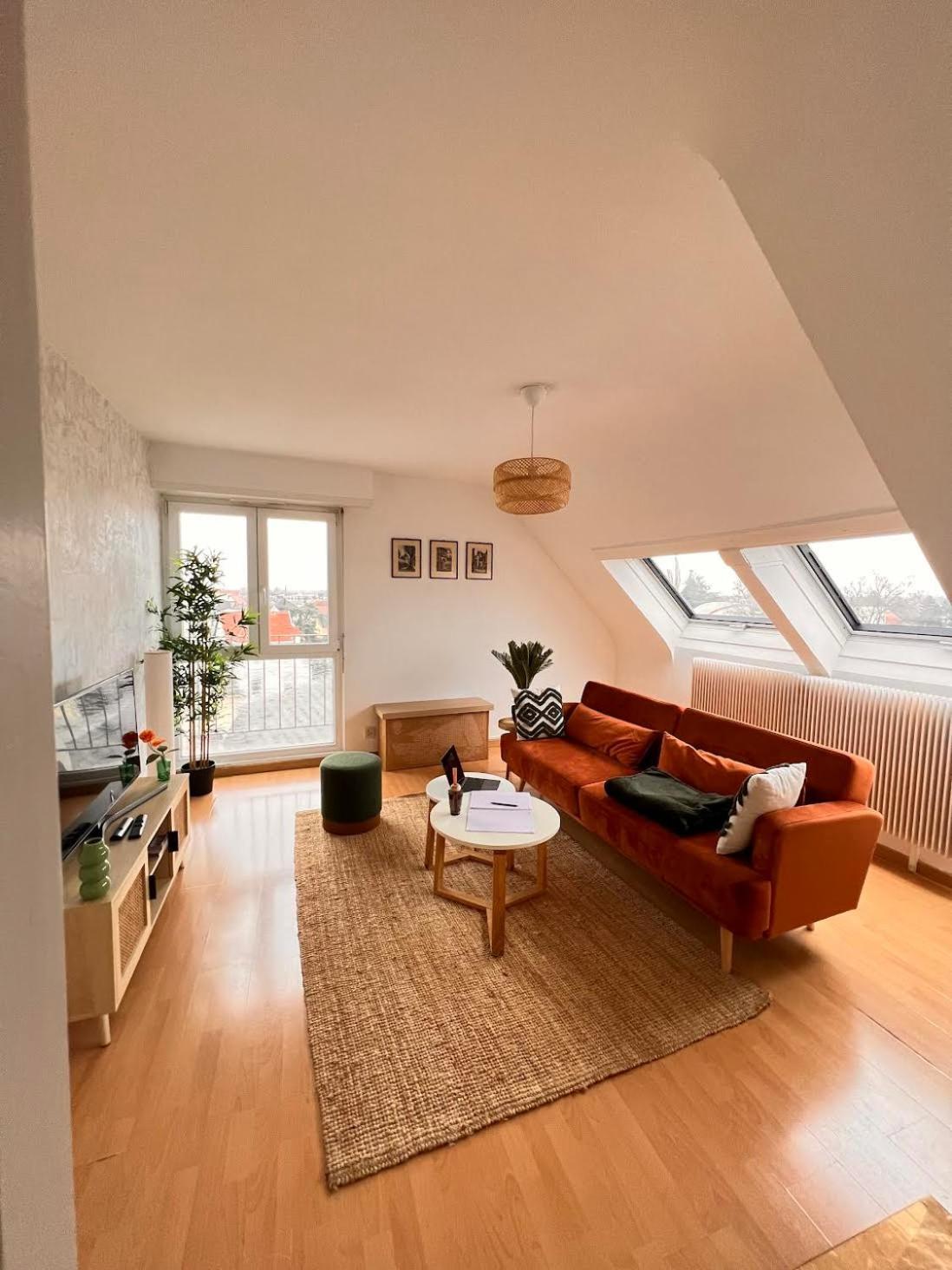 Balneo, Lumineux, Confort Colmar Exteriér fotografie