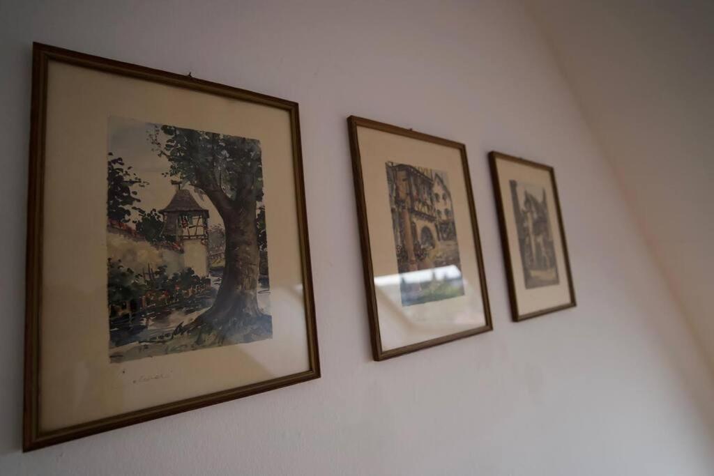 Balneo, Lumineux, Confort Colmar Exteriér fotografie